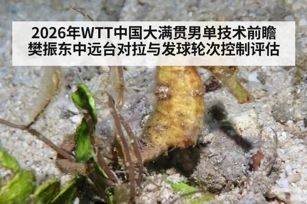 2026年WTT中国大满贯男单技术前瞻 樊振东中远台对拉与发球轮次控制评估